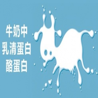 酪蛋白與乳清蛋白分離應用微濾陶瓷膜技術(shù)